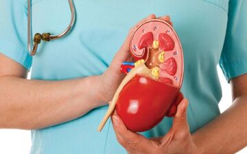 به خطر افتادن کلیه ها با هورمون آلدوسترون