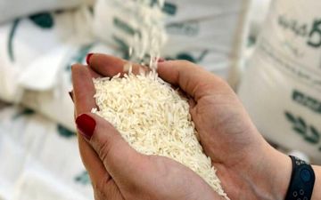  قیمت رسمی برنج ایرانی اعلام شد (۳۱ فروردین ۱۴۰۴) 