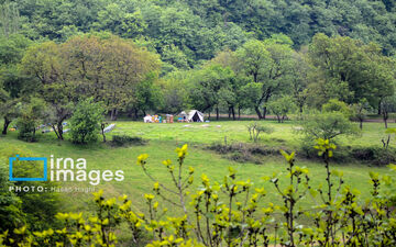 تدوین آیین‌نامه حفاظت پایدار کوهستان