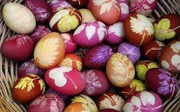  تخم مرغ یا سایر تخم پرندگان،کدام بهتر است؟