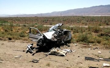 یکی از اساتید برجسته دانشگاه در تصادف جان باخت