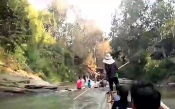 استقبال وحشتناک فیل از گردشگران در تایلند +فیلم 
