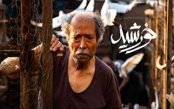 
«خورشید» در فهرست ۱۵تایی اسکار بهترین فیلم بین‌المللی
