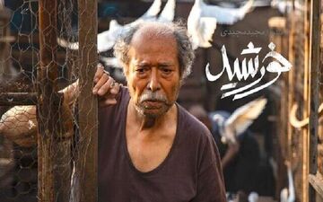 
«خورشید» در فهرست ۱۵تایی اسکار بهترین فیلم بین‌المللی
