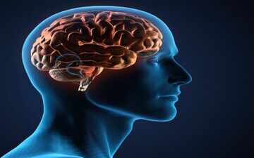چند روش موثر برای پاکسازی مغز 

