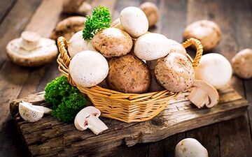 علائم اولیه مسمومیت ناشی از مصرف قارچ سمی را بشناسید