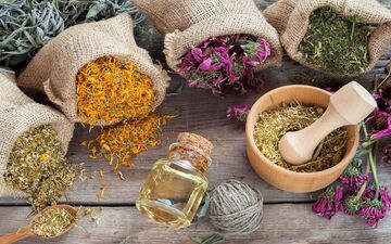 یک داروی جدید گیاهی برای درمان کرونا 