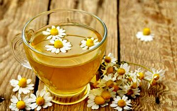 این گیاه دیابت را نابود می کند