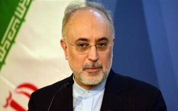 پیام صالحی به مناسبت سالگرد سانحه سقوط هواپیمای اوکراینی