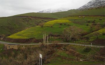 بانه، قلب تپنده یک صنعت 400 ساله