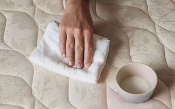 از بین بردن بو و لکه ادرار حیوانات خانگی| با این ترفندها کارت راحت میشه!