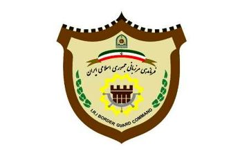 بیش از 31 هزار لیتر سوخت قاچاق در تایباد کشف شد