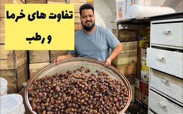 تفاوت خارک، خرما و رطب؛ یک راهنمای کامل + ویدئو