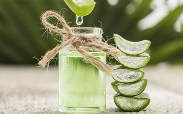 بهترین خوراکی‌ها برای حفظ سلامت روده‌ها