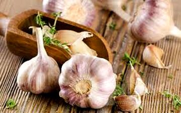 سیر را چگونه مصرف کنیم اثربخشی بهتری دارد؟