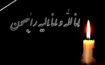 پدر کشتی نوین ایران دارفانی را وداع گفت