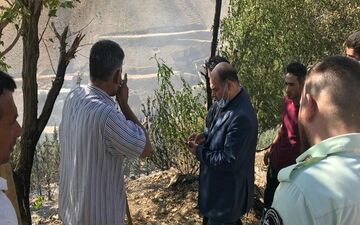 بام رودهن در آتش / بی‌احتیاطی چند کودک حادثه آفرید
