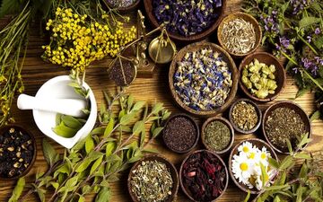 گیاهی برای بهبود تنفس