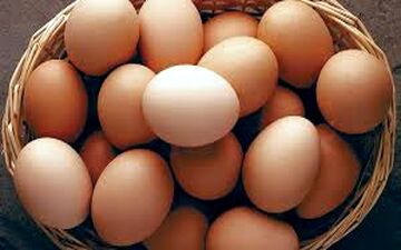 چرا مصرف این ماده غذایی ضروری است؟