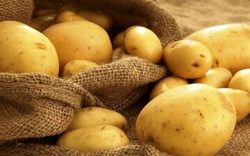 آشنایی با خواص شگفت انگیز سیب زمینی