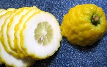 معجزه بالنگ برای از بین بردن نفخ شکم