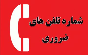 تلفن های ضروری در روزهای شیوع ویروس کرونا + عکس