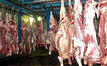  بازار گوشت حال خوشی ندارد