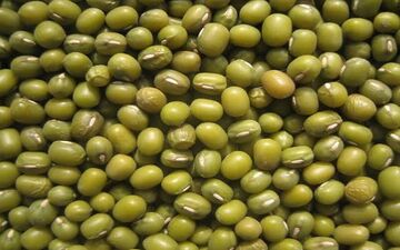 ماش، فراتر از یک حبوبات ساده