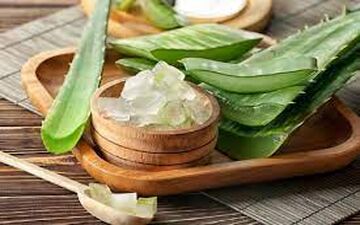 جالب ترین خواص آلوورا برای مو 