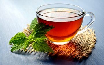 چای؛ نوشیدنی ساده‌ای برای استخوان‌های قوی‌تر در زنان سالمند