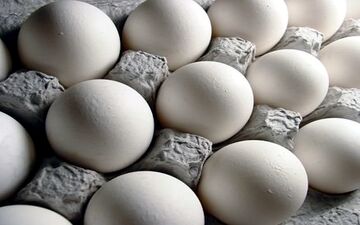 هر شانه تخم مرغ ۳۰ عددی در حدود ۲۰.۰۰۰ تومان 
