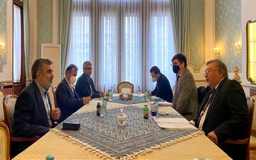 دیدار اولیانوف و کمالوندی در وین