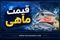 قیمت ماهی امروز ۳۰ تیر ۱۴۰۵ | جدیدترین نرخ قزل‌آلا، شیر، سالمون و میگو