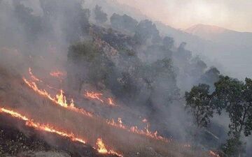 آتش‌سوزی در جنگل‌های «پاوه» جان یک نفر را گرفت