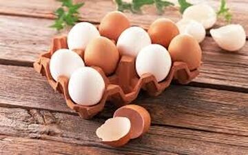 آشنایی با چند ماده غذایی که بیشتر باعث مسمومیت غذایی می‌شود