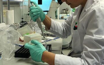 از ابتدای سال جاری تاکنون؛
۳۳۲ نفر؛ شمار قربانیان آنفولانزای خوکی در هند