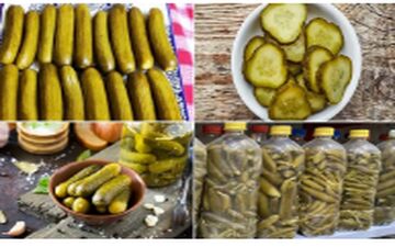 نکات مهم  خیارشور خانگی | حتما بخونید!!