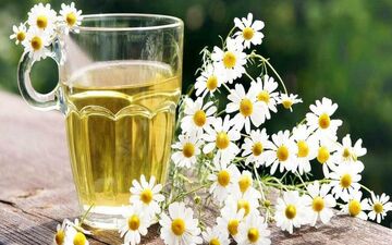 درمان بی خوابی با گیاه بابونه