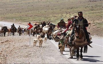 کوچ عشایر به مناطق قشلاقی غرب استان کرمانشاه آغاز شد  