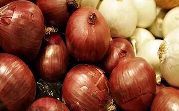  پیاز به زودی ارزان می‌شود