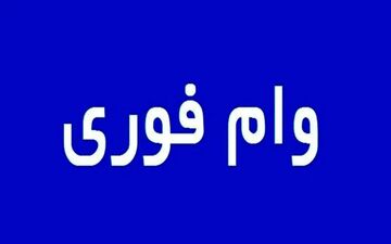 وام فوری ۵۰ میلیونی بدون مراجعه حضوری؛ شرایط و روش دریافت