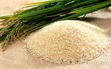 عوامل افزایش قیمت برنج باسماتی 