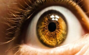 قاتل بی‌صدا چشم را می شناسید؟

