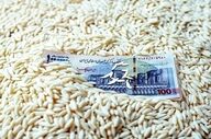 قیمت برنج پاکستانی ۱۳ مهر؛ سوپر باسماتی چند شد؟ + جدول