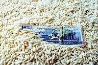 قیمت برنج پاکستانی ۱۳ مهر؛ سوپر باسماتی چند شد؟ + جدول