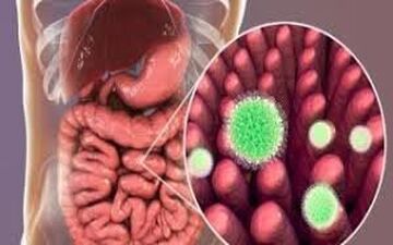 
انتقال کرونا از طریق دستگاه گوارش ممکن است؟
