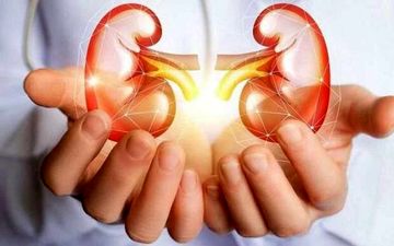 میخوای کلیه ات همیشه سالم باشه؟ بیا تا بهت بگم چی بخور!