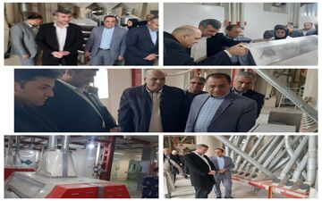 ایلام به دنبال الگوسازی در تولید آرد؛ کارخانه چرداول نمونه‌ای موفق