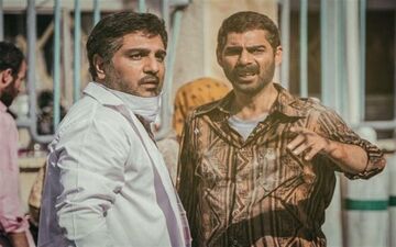 درخت گردو راهی اسکار می شود؟