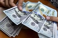 قیمت دلار، یورو و درهم در بازار رسمی امروز یکشنبه ۲۰ اردیبهشت